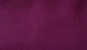 Wood violet